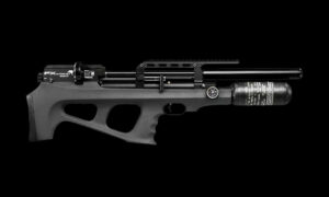 FX WILDCAT MKIII COMPACT CAL. .22