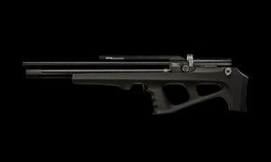 FX DREAMLINE POWER PUP CAL. .22